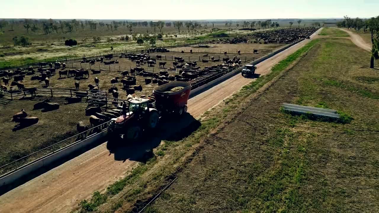 Aerial view over the pens and the yards of a feedlot